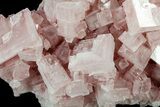 Pink Halite Crystal Plate - Trona, California #61062-1